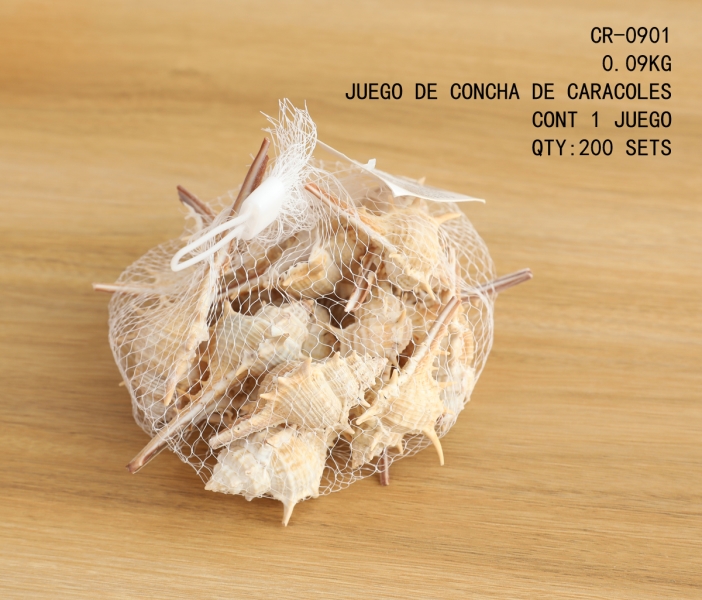 [CR-0901] JUEGO DE CONCHA DE CARACOLES