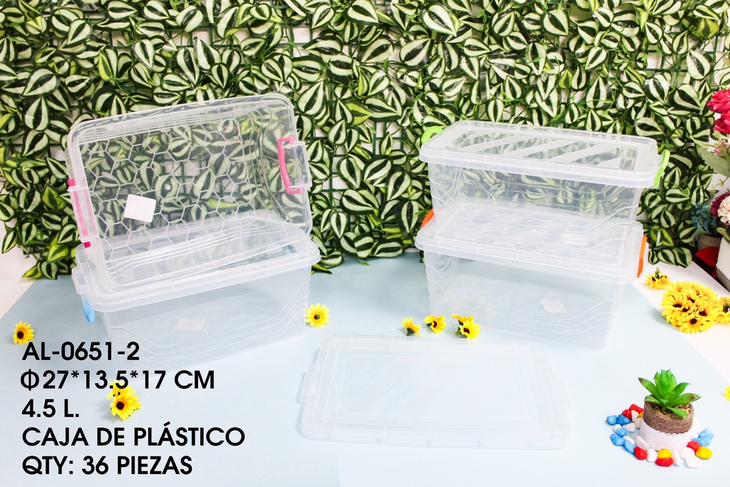 [AL-0651-2]CAJA DE PLASTICO