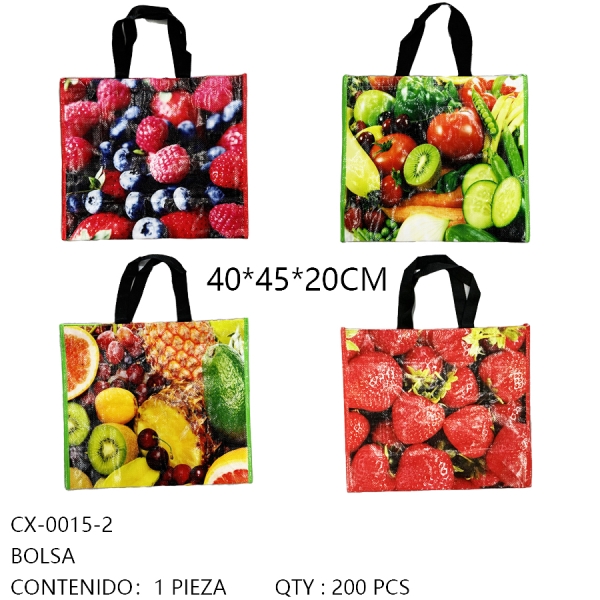 [CX-0015-2]BOLSA 