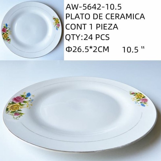[AW-5542-10.5 [24 PZS/CAJA]] [AW-5542-10.5] PLATO DE CERAMICA