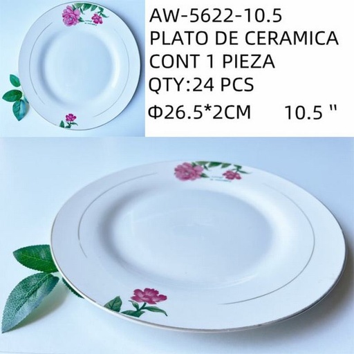 [AW-5622-10.5 [24 PZS/CAJA]] [AW-5622-10.5] PLATO DE CERAMICA