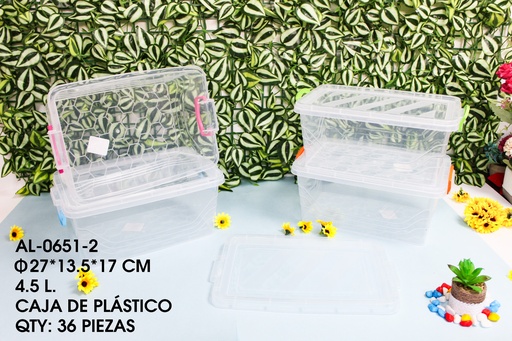[AL-0651-2[36PZS/CAJA]] [AL-0651-2]CAJA DE PLASTICO